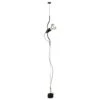 FLOS Parentesi - Standing Pendant Light, Black 1 FLOS Parentesi - Standing Pendant Light, Black -Lighthouse Shop 3510165