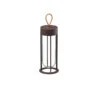 FLOS In Vitro Unplugged LED Light, Brown 2,700 K -Lighthouse Shop 3510773