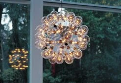 Flos Taraxacum 88, 1988