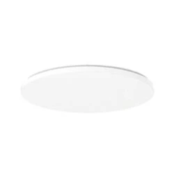 Flos Clara Ceiling/Wall Lamp