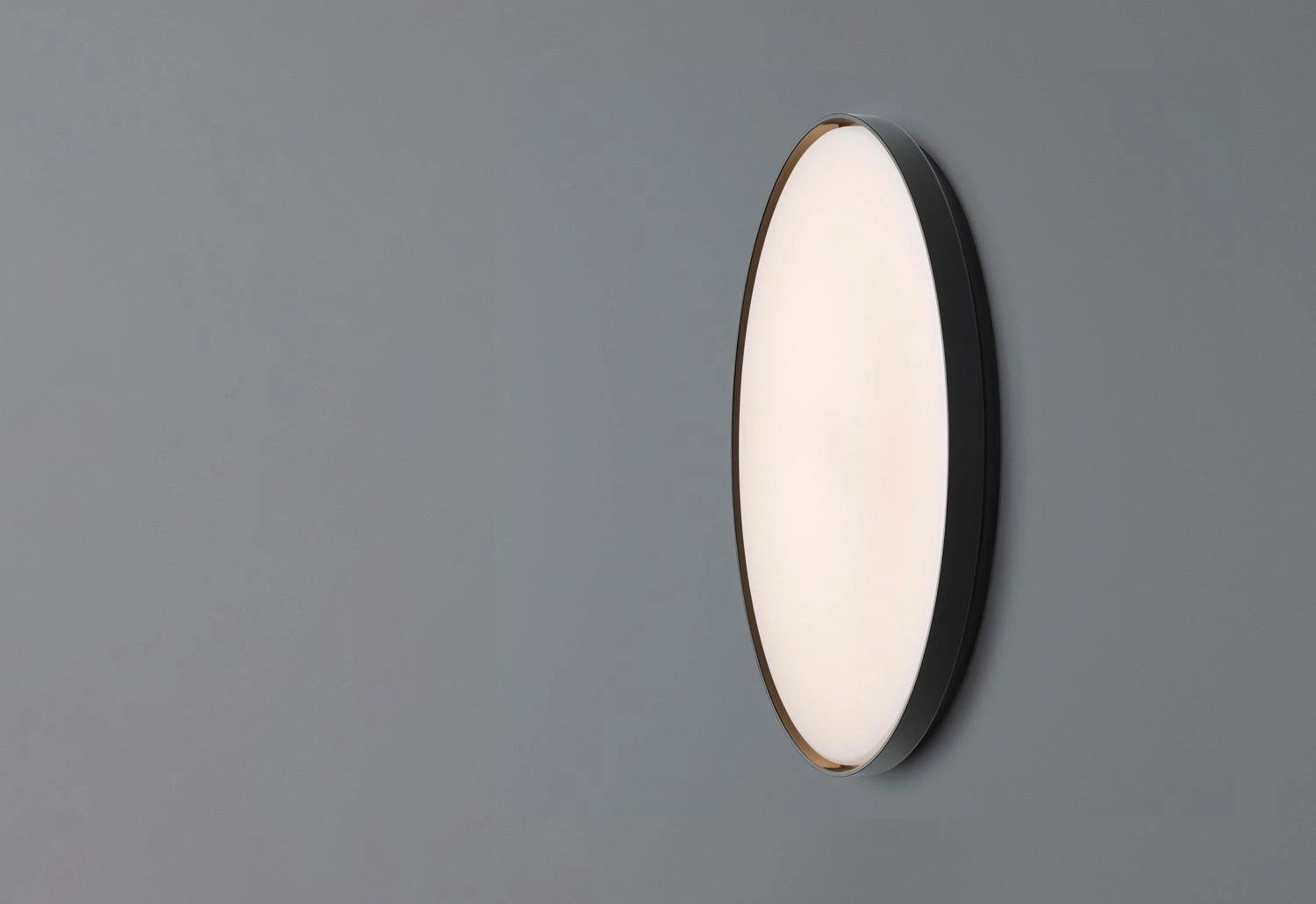 Flos Clara Wall/Ceiling Light, 2014 5 Flos Clara Wall/Ceiling Light, 2014 - Image 3